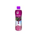 Boni Selection sirop cassis 75 cl