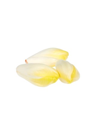 Chicons (endives) extra Flandria 1 kg