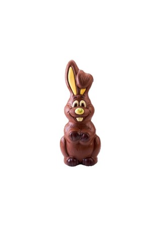 Grand Lapin de Pâques chocolat lait décoré 26 cm 300  gr